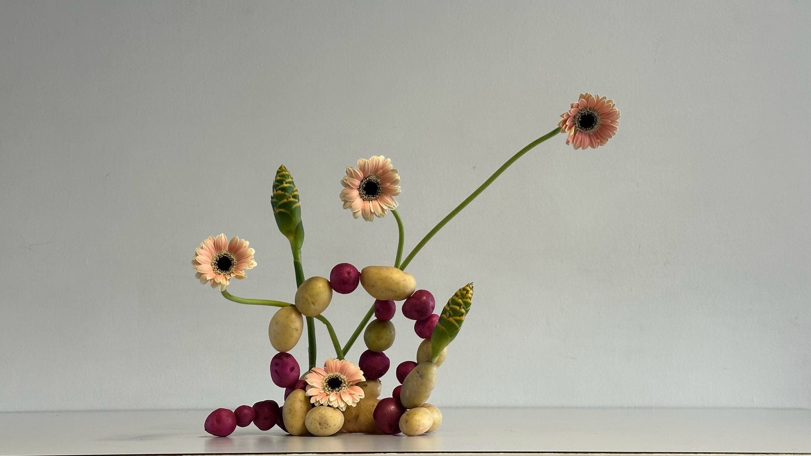 Composición gerberas y papas